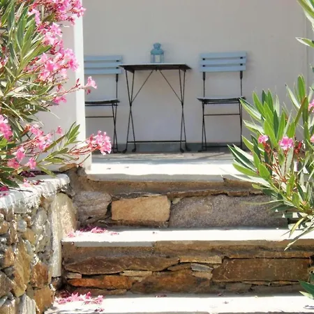 Luxurious On The Famous Glp Cat Sanctuary Kini