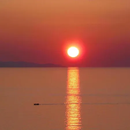 Luxurious On The Famous Glp Cat Sanctuary * Kini